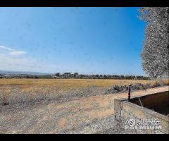 Casetta con terreno - 25