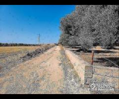 Casetta con terreno - 26