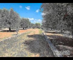 Casetta con terreno - 27