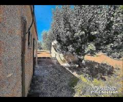 Casetta con terreno - 30