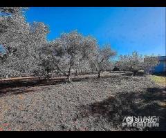 Terreno con vano in località S. Barbato