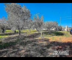 Terreno con vano in località S. Barbato