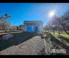 Terreno con vano in località S. Barbato - 7