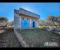 Terreno con vano in località S. Barbato - 8