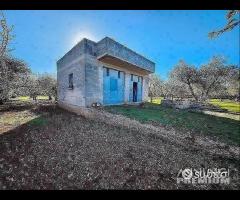 Terreno con vano in località S. Barbato - 9