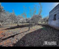 Terreno con vano in località S. Barbato - 10