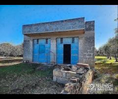 Terreno con vano in località S. Barbato - 12