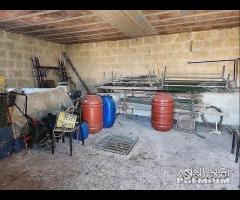 Terreno con vano in località S. Barbato - 14