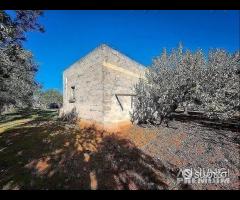 Terreno con vano in località S. Barbato - 17