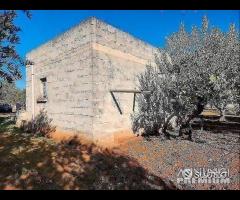 Terreno con vano in località S. Barbato - 18