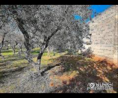 Terreno con vano in località S. Barbato - 20