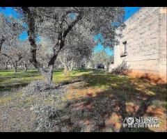 Terreno con vano in località S. Barbato - 21