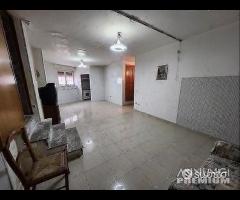 Intero stabile con garage - 9