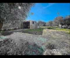 Villa in contrada Saponaro - 14