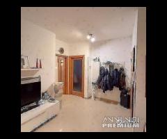 Quadrivani a Francavilla Fontana (BR) - 7