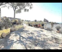 Masseria Contrada Riggio - 7