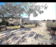 Masseria Contrada Riggio - 10