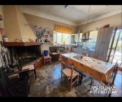 Masseria Contrada Riggio - 14