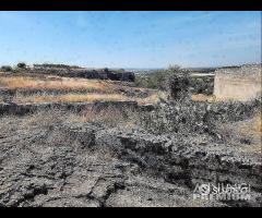 Masseria Contrada Riggio - 22