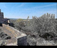 Masseria Contrada Riggio - 23