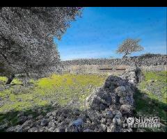 Masseria Malabarba