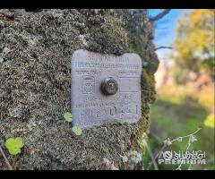 Masseria Malabarba - 13