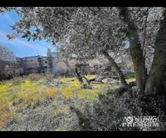 Masseria Malabarba - 15