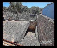 Stabile semi indipendente rustico a Faggiano - 10