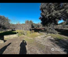 Villetta allo stato rustico - 13