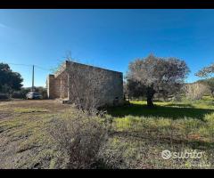 Villetta allo stato rustico - 16