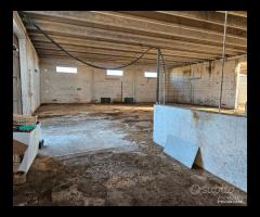 CAPANNONE TERRENO e Villa con piscina