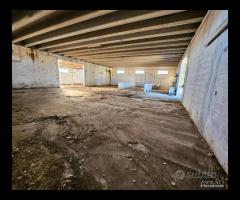 CAPANNONE TERRENO e Villa con piscina
