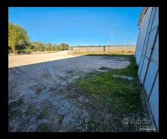 CAPANNONE TERRENO e Villa con piscina - 14