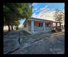 CAPANNONE TERRENO e Villa con piscina - 25