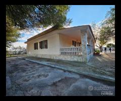 CAPANNONE TERRENO e Villa con piscina - 27