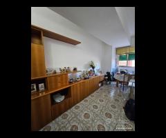 Appartamento 3 vani e accessori - 6