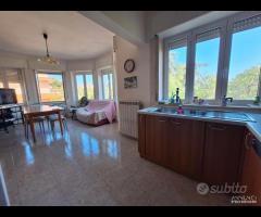 Villetta bifamiliare con giardino - 10