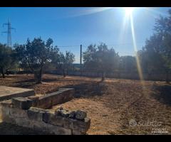 Grottaglie- villino con terreno - 10