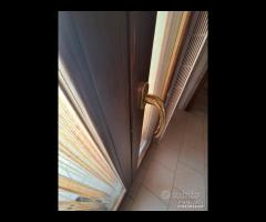 Grottaglie-Via Aldo Moro - 6