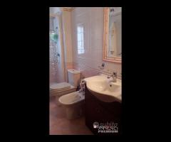 Pressi Farmacia Coppolino - 12