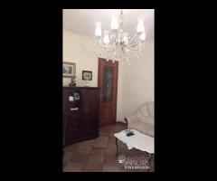 Pressi Farmacia Coppolino - 14