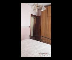 Pressi Farmacia Coppolino - 18