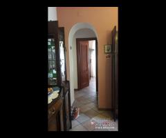 Pressi Farmacia Coppolino - 21