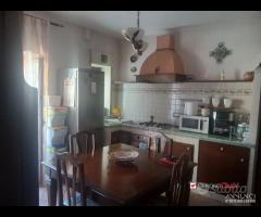 Pressi Farmacia Coppolino - 25