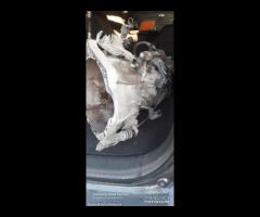 Cambio kia venga 1.4 benzina 2016