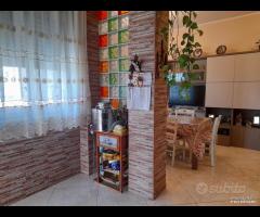 Michelangelo 3 vani ristrutturato rif.144/25 - 6