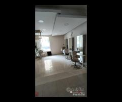 Provinciale Locale commerciale 2 luci - 13