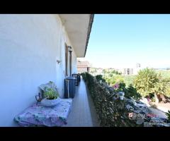 Saponara Marittima, ampio trivani e servizi - 18