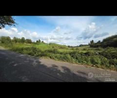 Palestrina Terreno Agricolo 7000 mq - 6