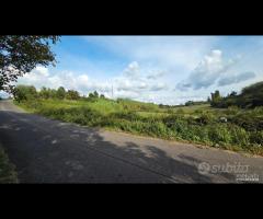 Palestrina Terreno Agricolo 7000 mq - 7